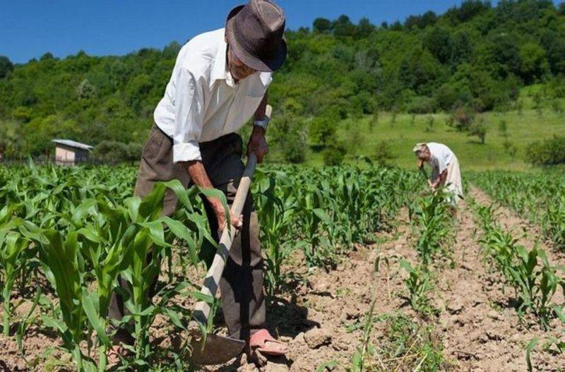 Projetos e a��es: Avançar com a Agricultura e Abastecimento